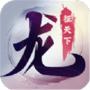 龙征天下
