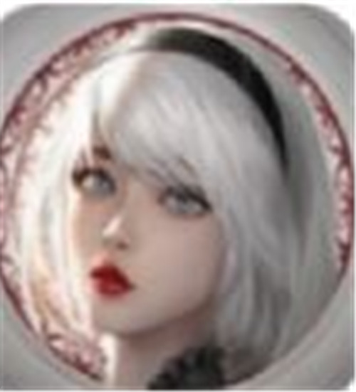 神谕幻想之斗龙勇者官方版